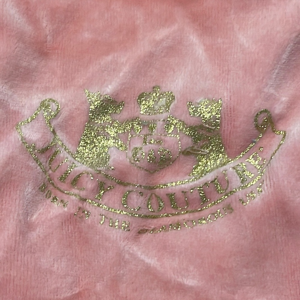Vintage Juicy Couture Dust Bag - Picture 3 of 3